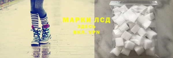 СК Алексин