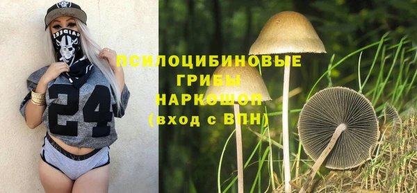 тгк Алексеевка