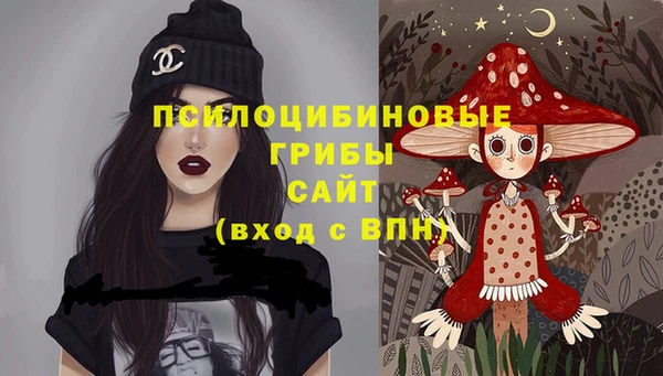 скорость Алзамай