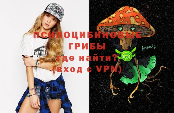 СК Алексин