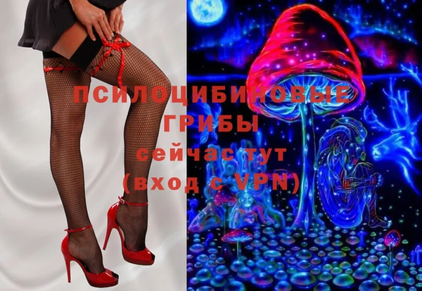 СК Алексин