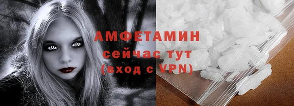 СК Алексин